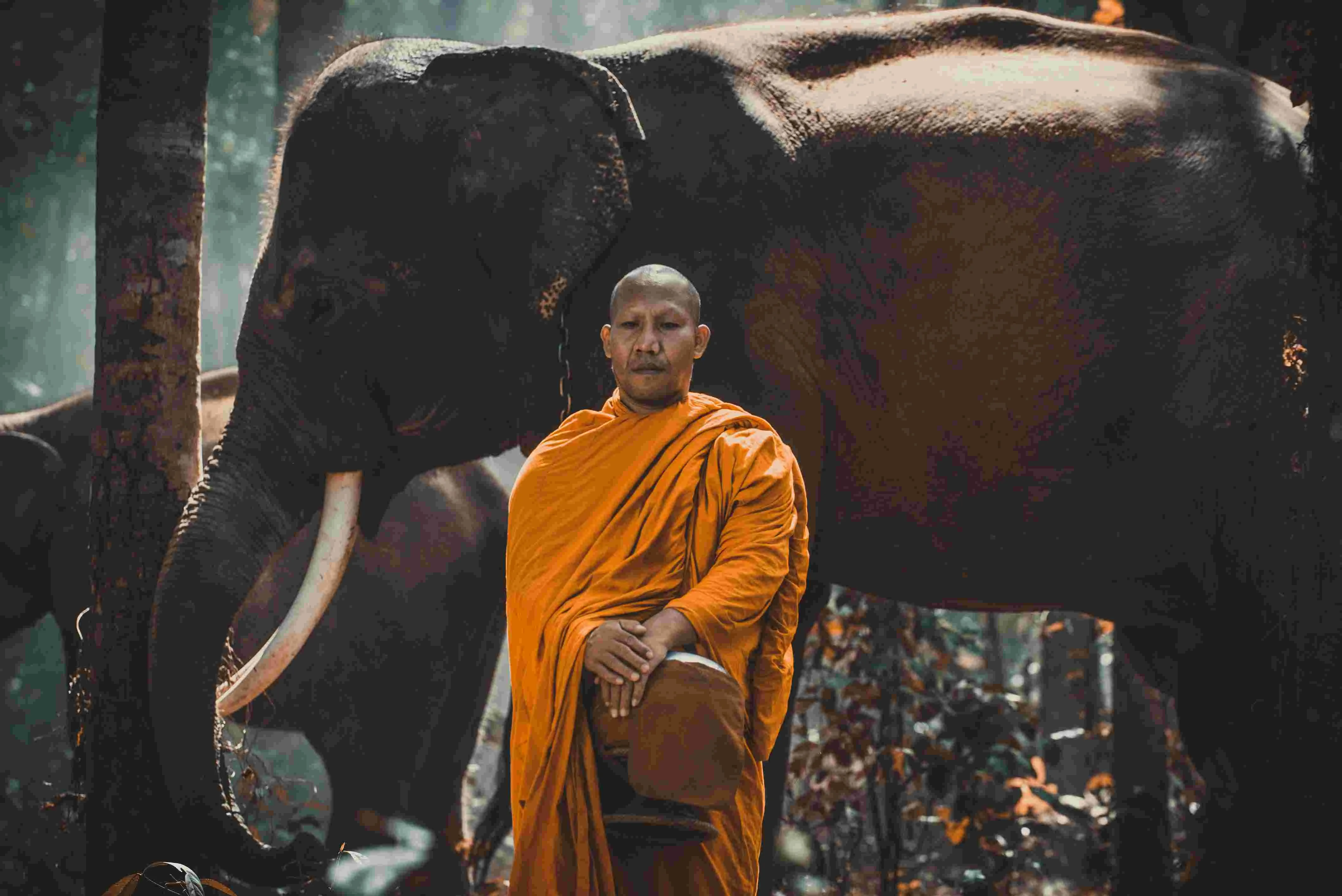 Sri Lankan culture