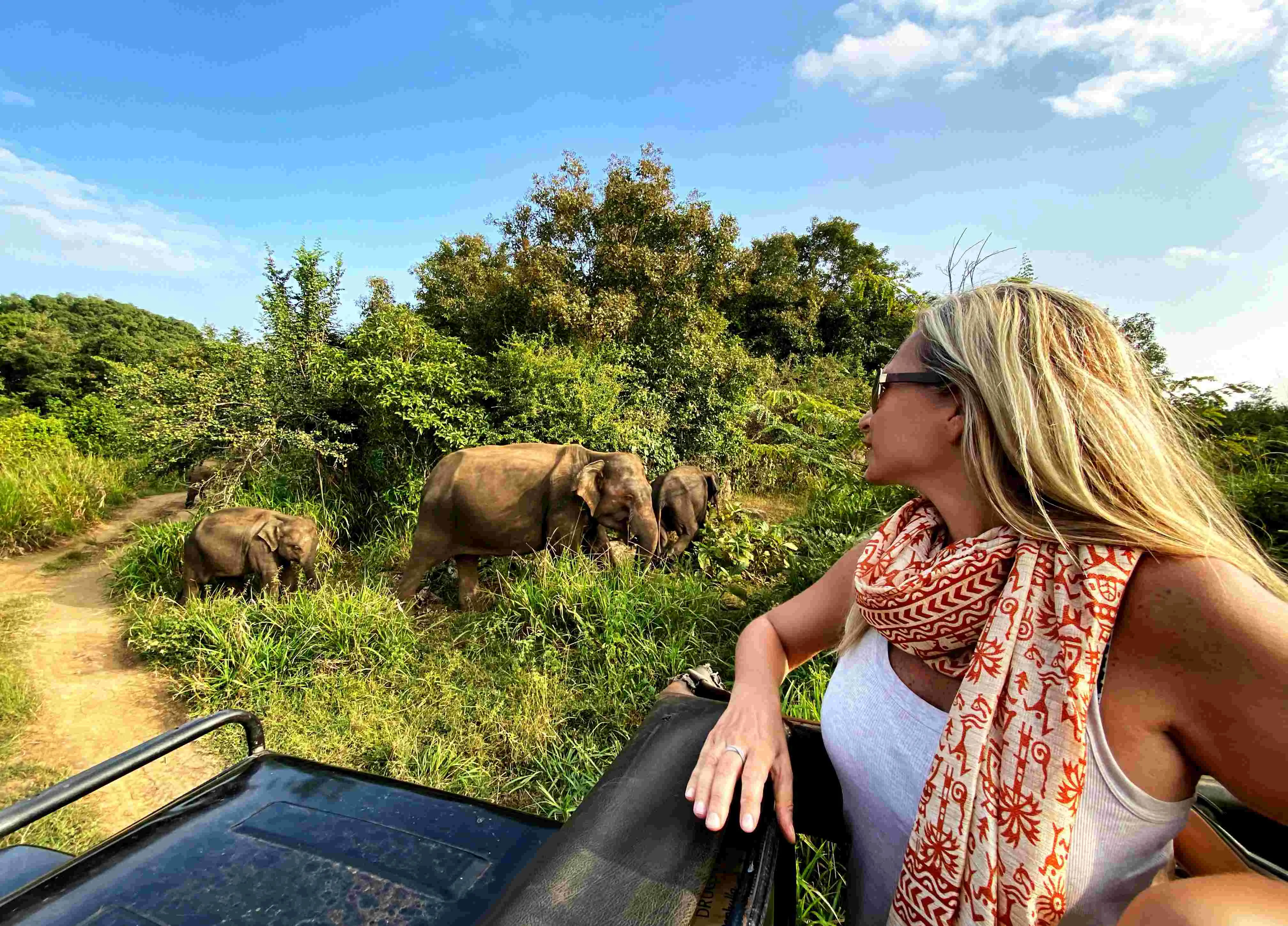 Safari experience